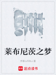 莱布尼茨之梦在线阅读