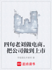 四旬老刘做电商，把公司做到上市在线阅读