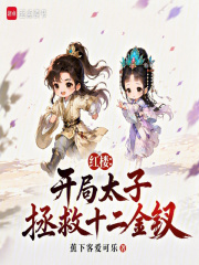 红楼：开局太子，拯救十二金钗在线阅读