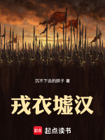 戎衣墟汉封面