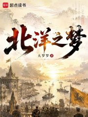 北洋之梦在线阅读