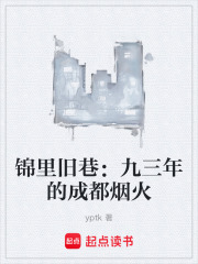 锦里旧巷：九三年的成都烟火在线阅读