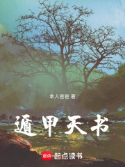 遁甲天书在线阅读