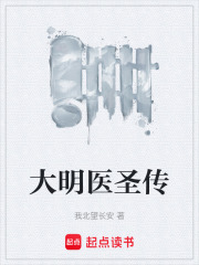 大明医圣传