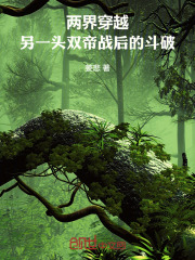 两界穿越：另一头双帝战后的斗破