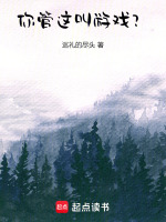 你管这叫游戏？封面