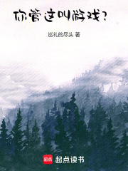 你管这叫游戏？