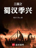 三国之蜀汉季兴封面