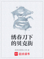 绣春刀下的贝克街封面