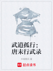武道孤行：唐末行武录在线阅读