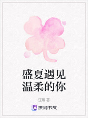 盛夏遇见温柔的你在线阅读