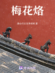 梅花烙在线阅读