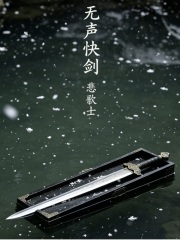 无声快剑在线阅读