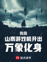 我靠山寨游戏机开出万象化身