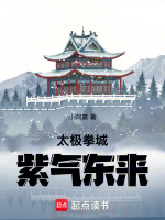 太极拳城：紫气东来封面