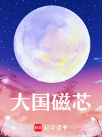 大国磁芯最新章节在线阅读