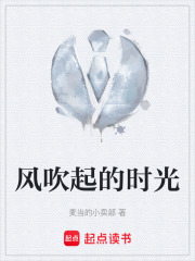 风吹起的时光在线阅读