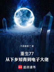 重生77：从下乡知青到电子大佬在线阅读