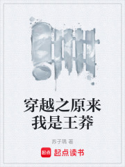 穿越之原来我是王莽在线阅读