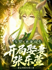 斗罗：圣龙双生，开局娶妻张乐萱在线阅读