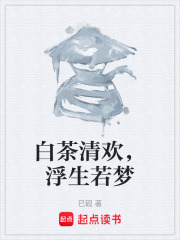 白茶清欢，浮生若梦