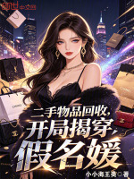 二手物品回收，开局揭穿假名媛封面