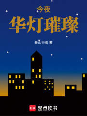 今夜华灯璀璨在线阅读