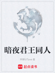 暗夜君王同人在线阅读