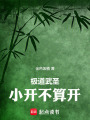 极道武圣：小开不算开在线阅读