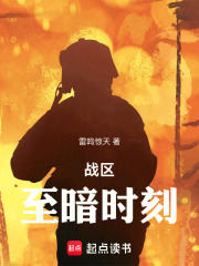 战区：至暗时刻在线阅读