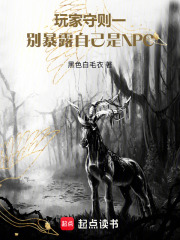 玩家守则一，别暴露自己是NPC在线阅读