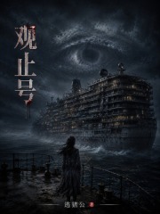 观止号在线阅读