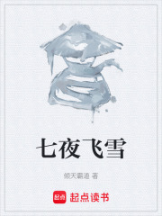 七夜飞雪在线阅读