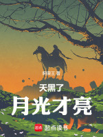 天黑了，月光才亮封面