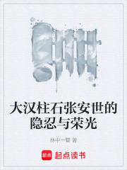 大汉柱石张安世的隐忍与荣光在线阅读