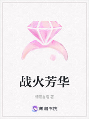 战火芳华在线阅读