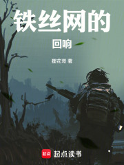 铁丝网的回响在线阅读