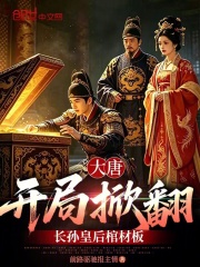 大唐：开局掀翻长孙皇后棺材板