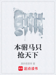本驸马只抢天下