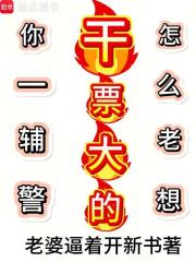你一辅警，怎么老想干票大的？在线阅读