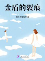 金盾的裂痕在线阅读