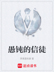 愚钝的信徒在线阅读
