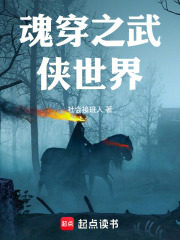 魂穿之武侠世界在线阅读