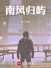 南风归屿在线阅读