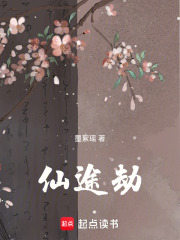 仙途劫在线阅读