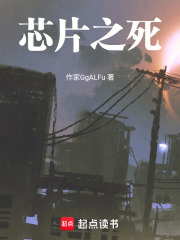 芯片之死在线阅读