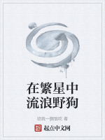 在繁星中流浪野狗封面