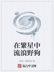 在繁星中流浪野狗在线阅读