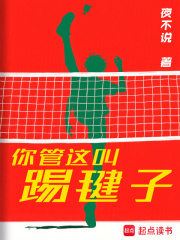 你管这叫踢毽子在线阅读