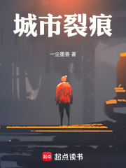 城市裂痕在线阅读